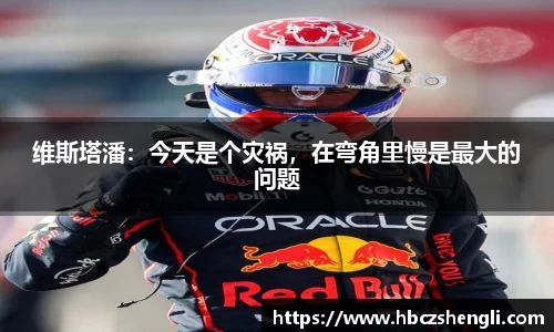 维斯塔潘：今天是个灾祸，在弯角里慢是最大的问题
